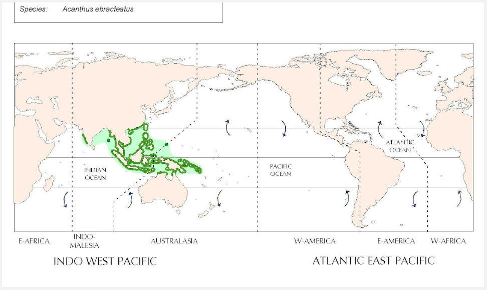 screenshot 2025 11 20 145031