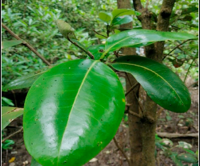 screenshot 2025 12 08 195900