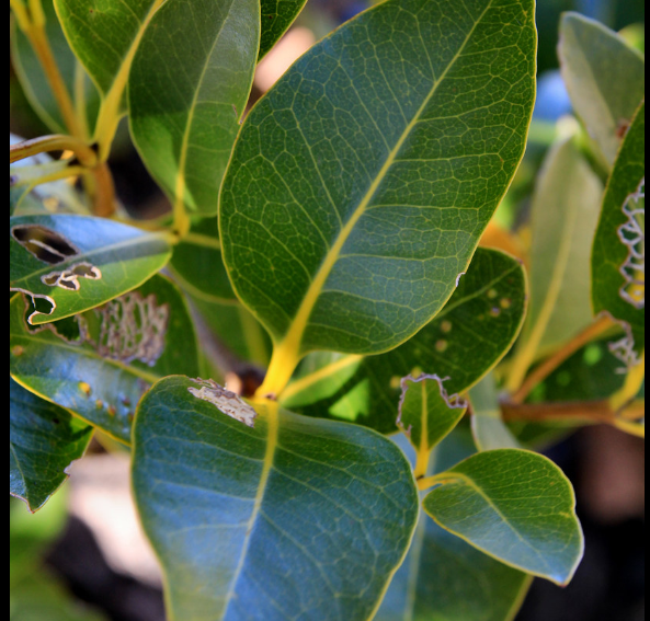 screenshot 2025 12 08 200831