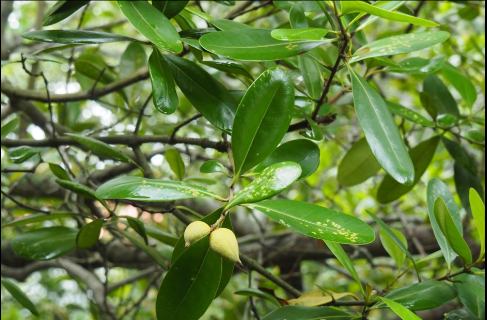 screenshot 2025 12 08 201405