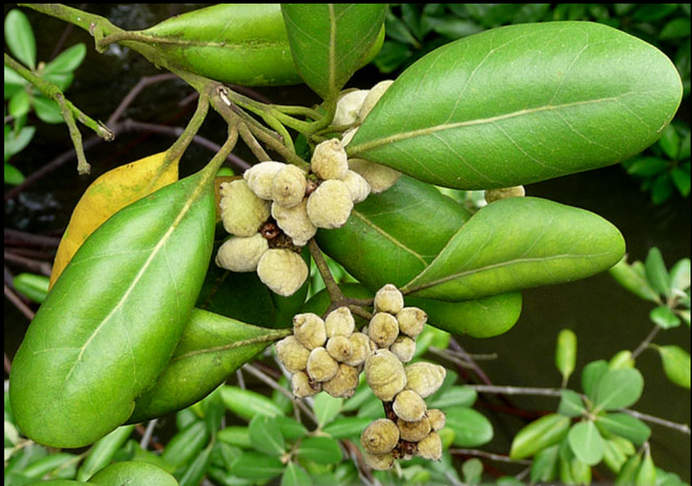 screenshot 2025 12 08 201709